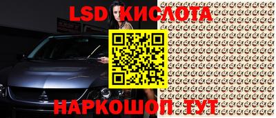 крисы Северобайкальск