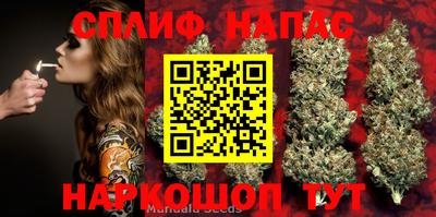 молекула духа Севастополь