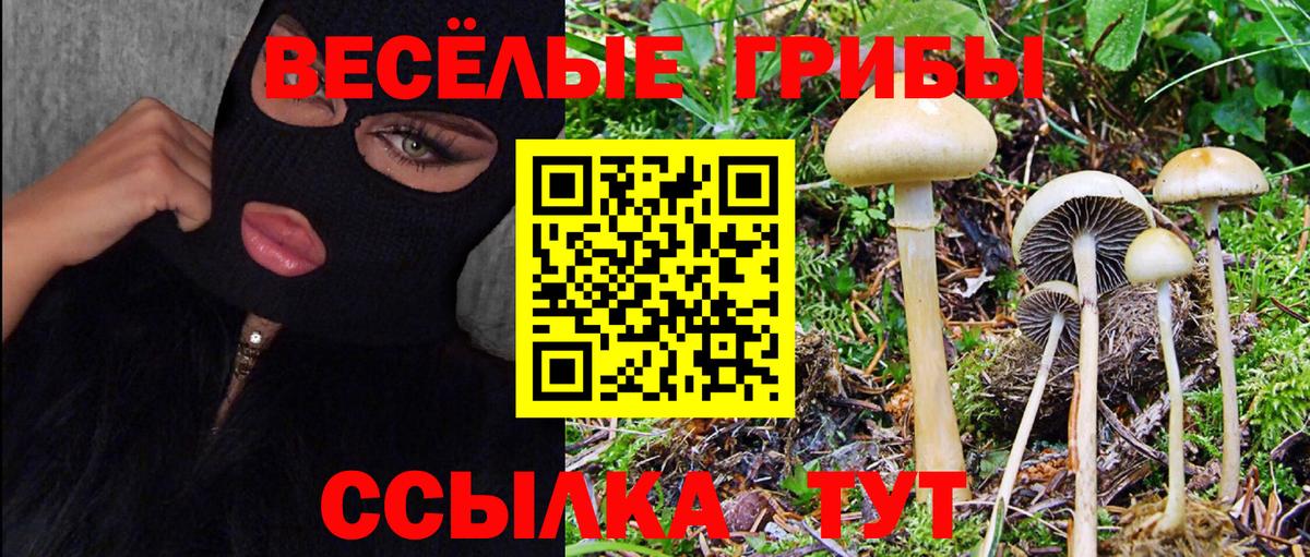 Псилоцибиновые грибы ЛСД  Псилоцибиновые грибы мухоморы  Вход с VPN  Киржач 