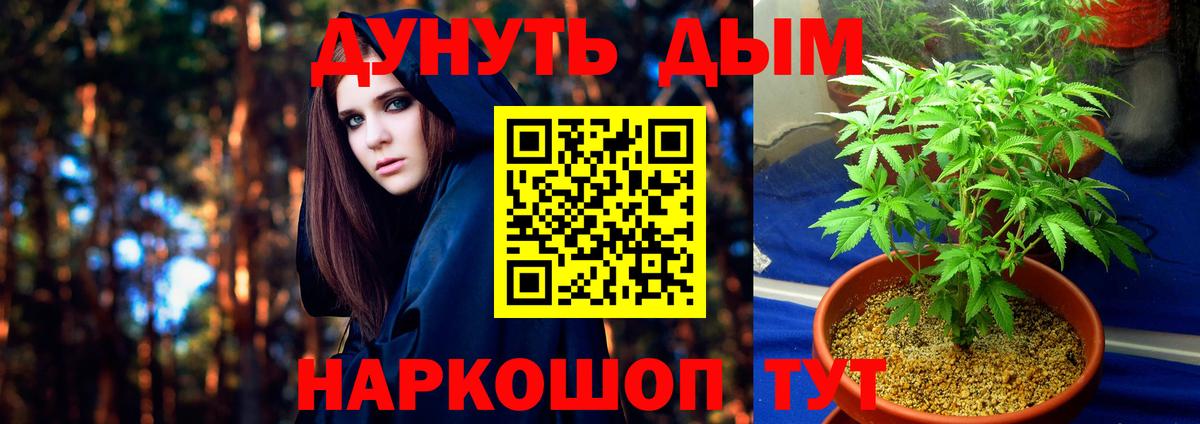 Бошки Шишки семена  Вход с VPN  Бошки Шишки семена  Бошки Шишки MAZAR  Киржач 